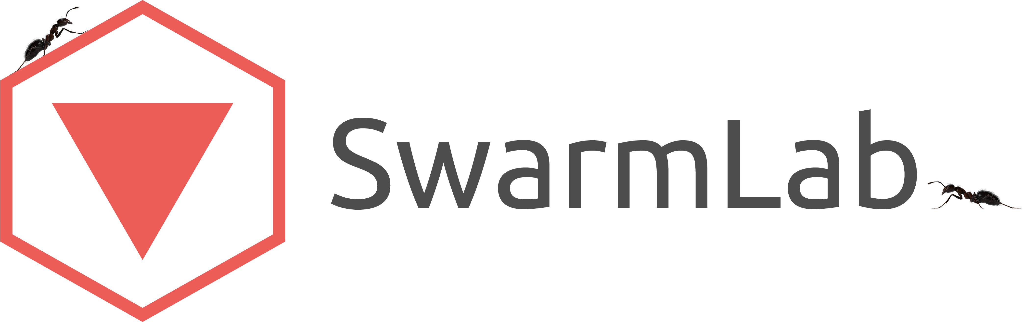 Swarm